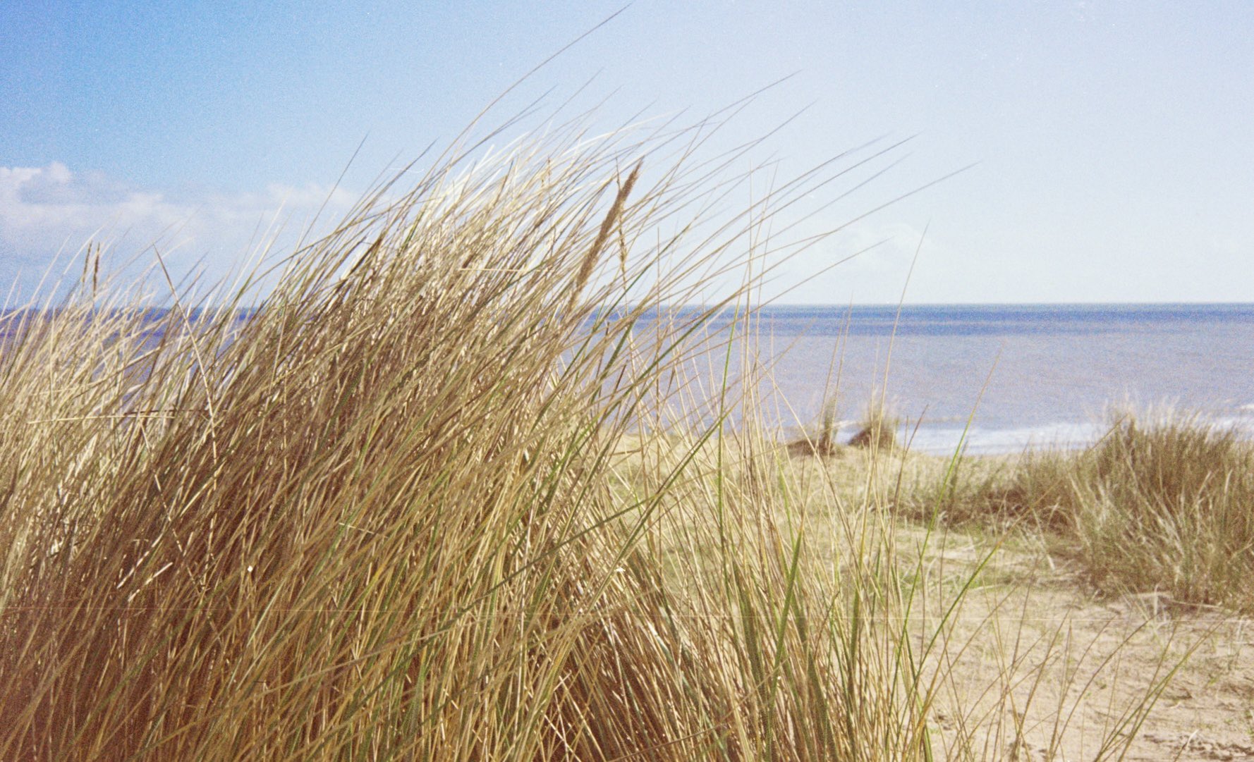 35mm film photograph 6