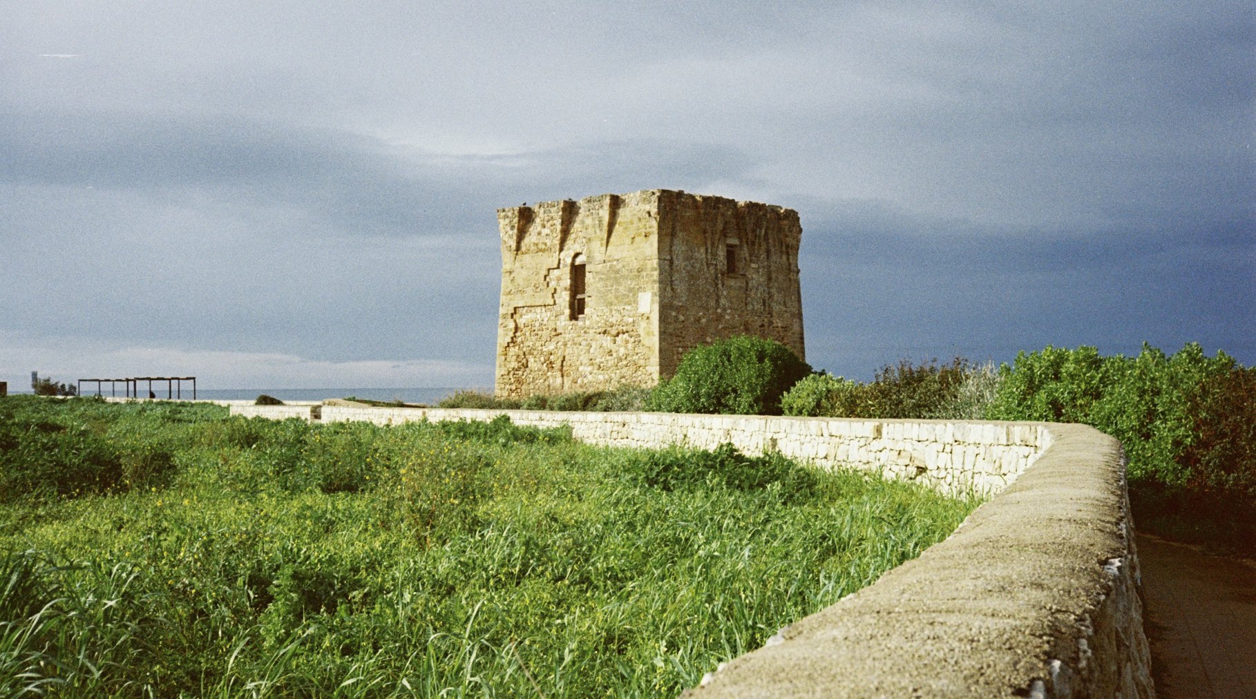 35mm film photograph 7